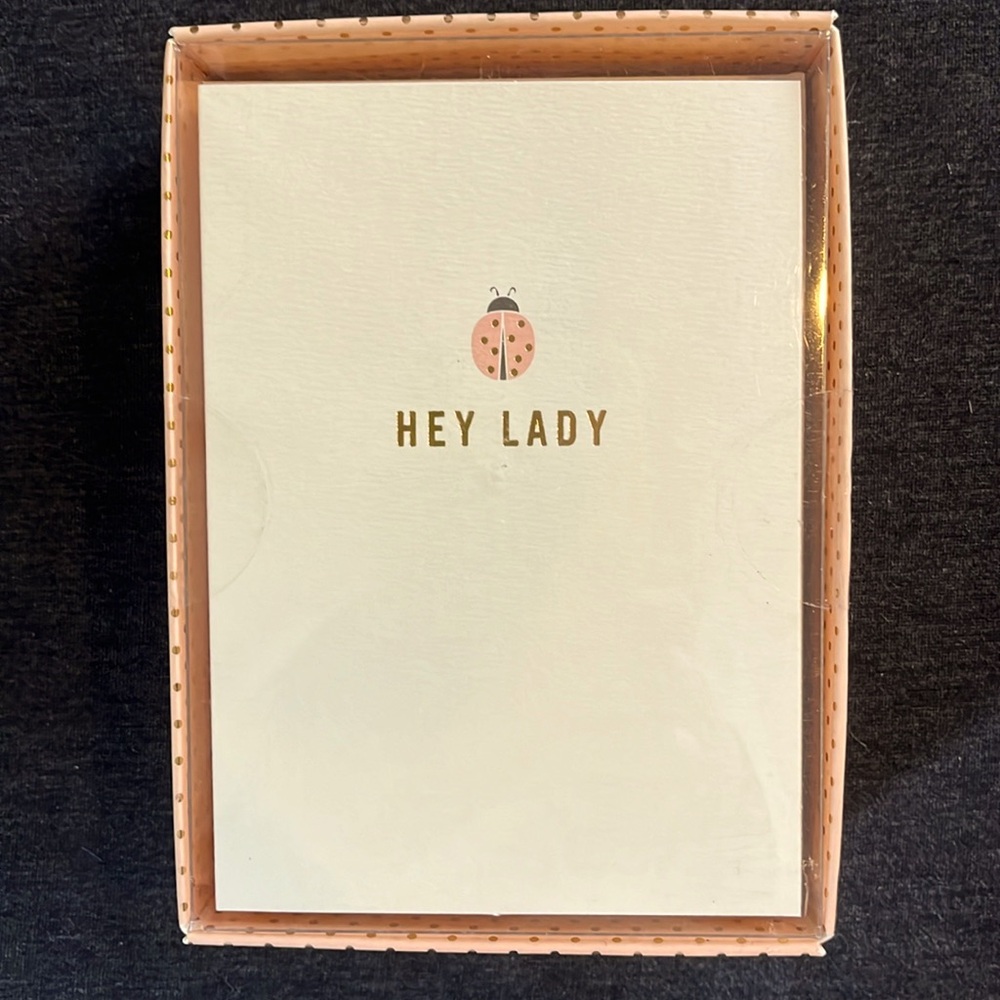 Elum Boxed Note Cards Notecards & Envelopes Lady Bug Gold Foil Set of 10
